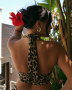 Leopard Halter Neck Top