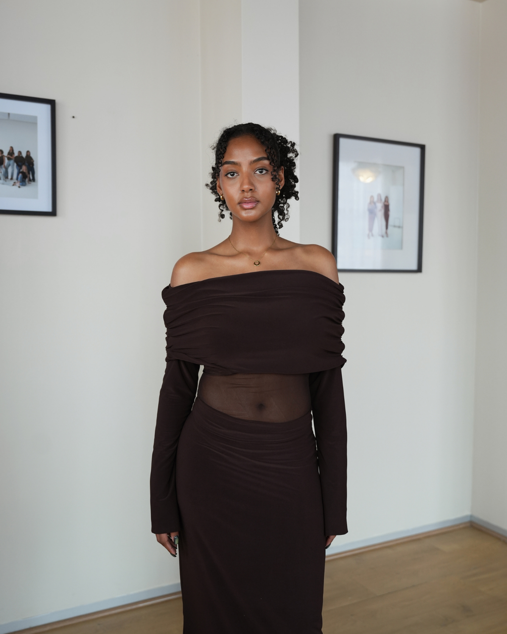 Chocolate Brown Mesh Off-Shoulder Dress with Long Sleeves