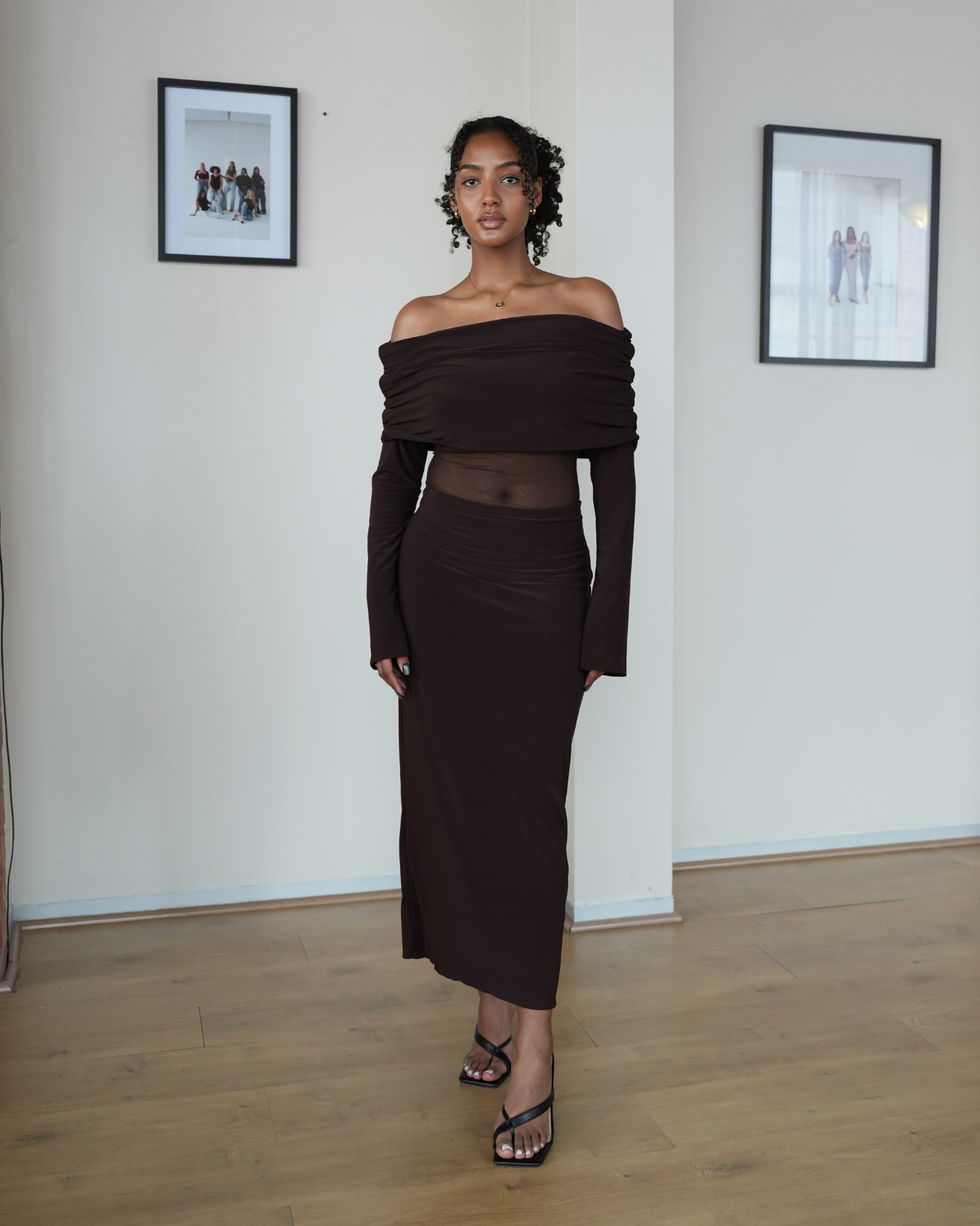 Chocolate Brown Mesh Off-Shoulder Dress with Long Sleeves