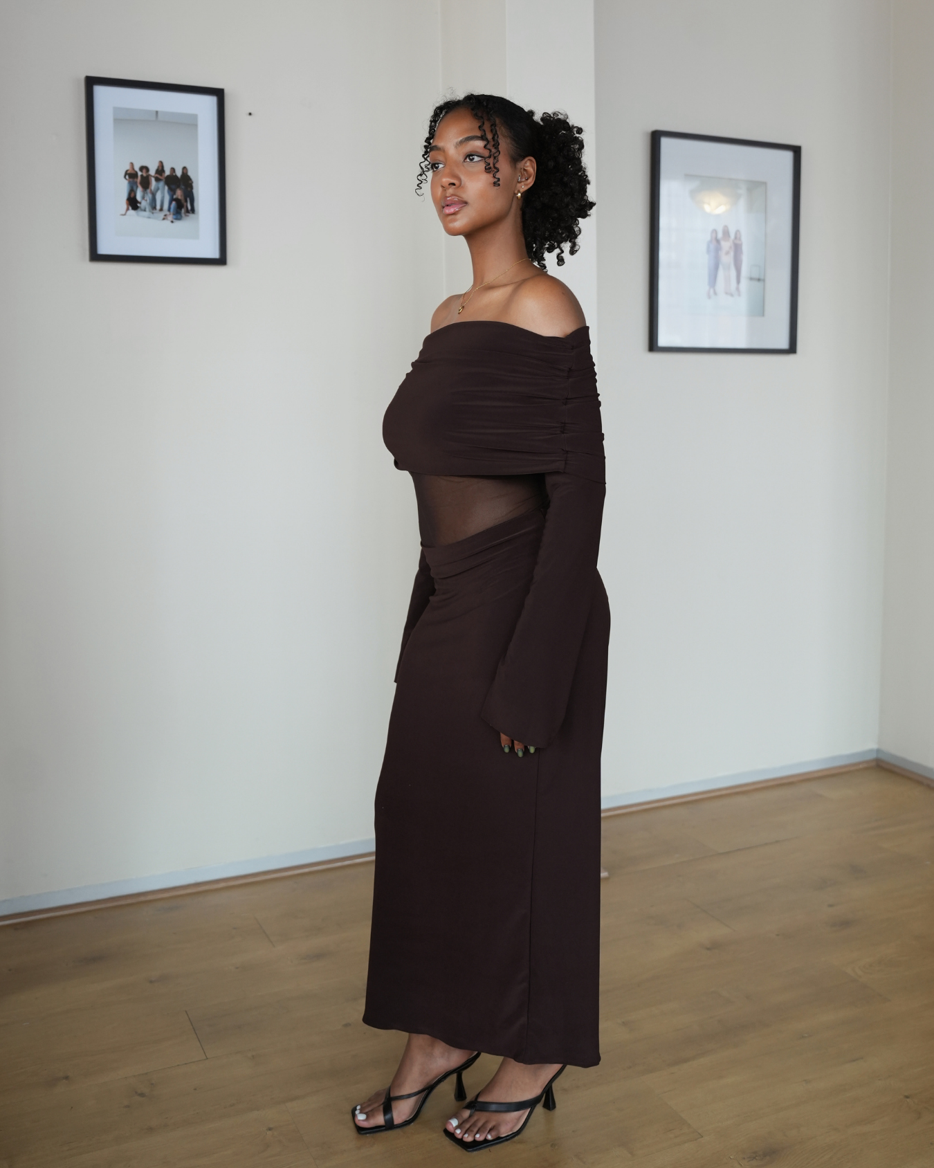 Chocolate Brown Mesh Off-Shoulder Dress with Long Sleeves