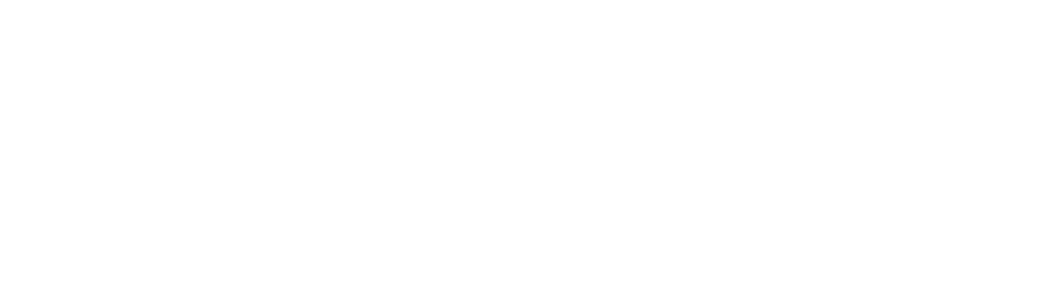 The Shopaholic 